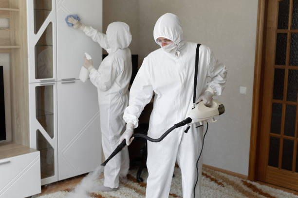 Water Damage Restoration in Springmont, PA